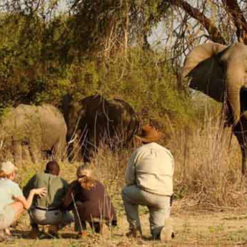 Best Tanzania Walking Safari